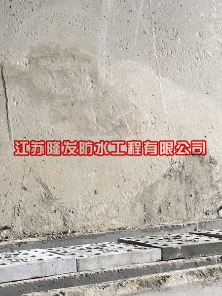 C¶̎