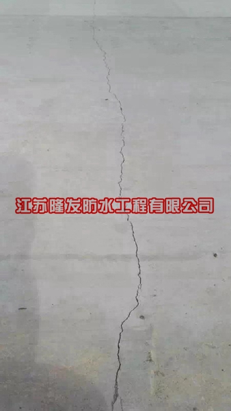 ѿp̎